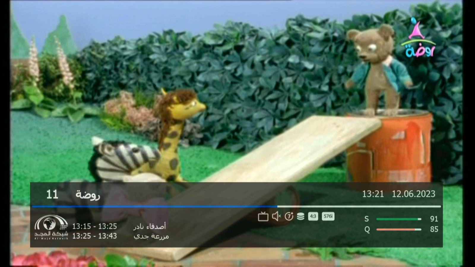قناة روضة